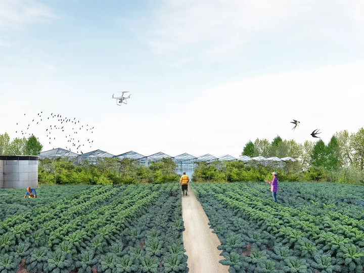 Cill Ulta Bioeconomy Hub: Rural Regeneration Plan