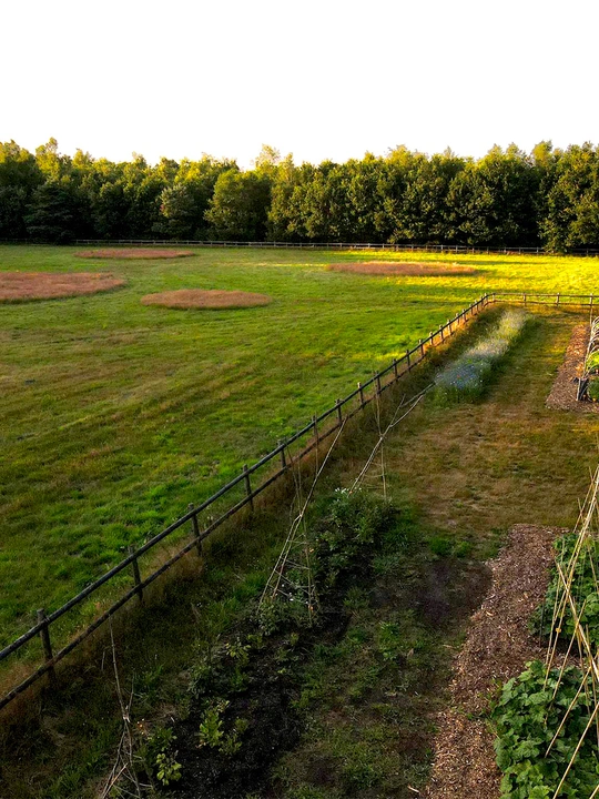 grondvorm: garden, design and landscape laboratory