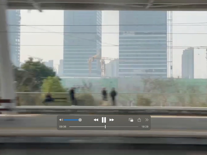 Discourse along Capital Flows and Consulting Firms