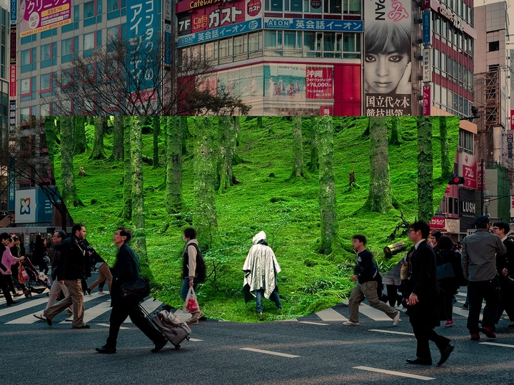 Shirin Yoku _ Urban Meditation Cabin