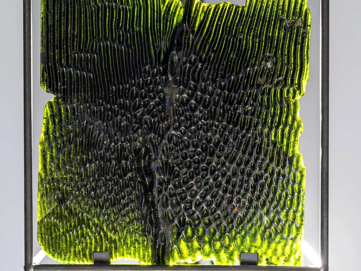 Living Glass Landscapes