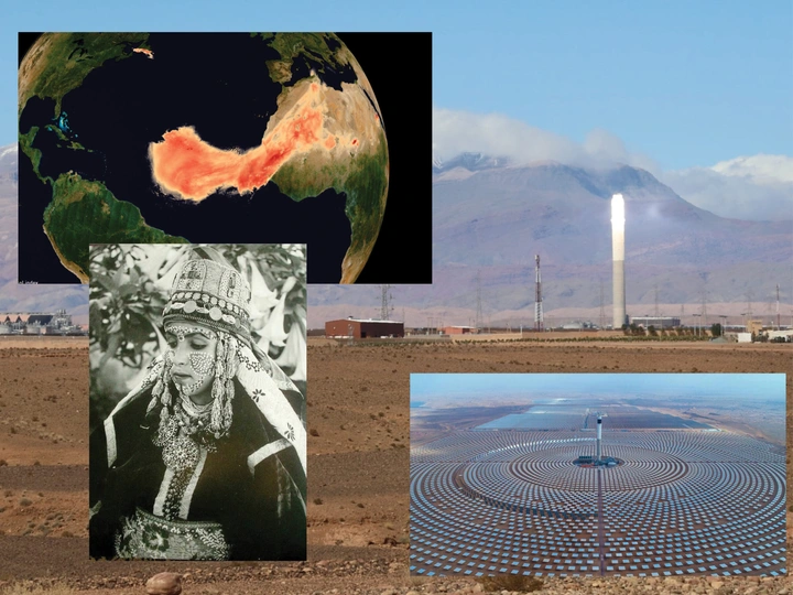 New Ecological Order