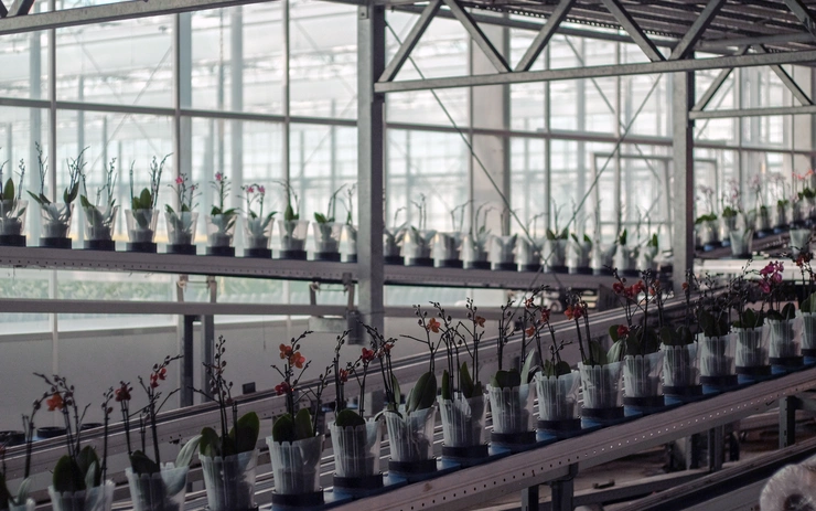 EXTERIORLESS. The (Re)Design of the Ordinary