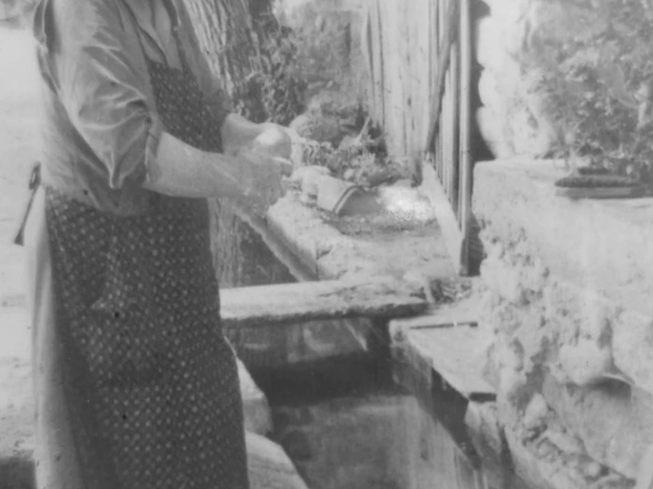 Habitar a água / Inhabiting water